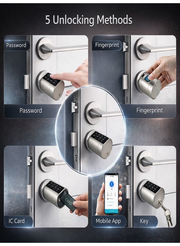 Smart Biometric Door Lock (5 in 1), Fingerprint, Palm Print, Passcode, IC/RFID Card & Key Backup | TTLock App Control, Bluetooth & Remote Access via Gateway | Auto-Lock, 360° Fast Recognition, Adjustable Euro Cylinder | Ideal for Home, Office, Airbnb & Hotels - Image 3